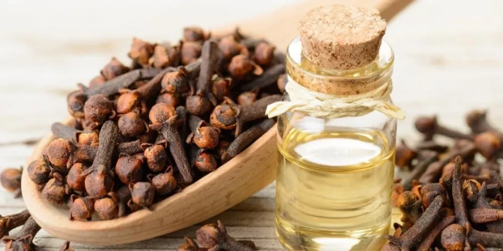 Clove oil