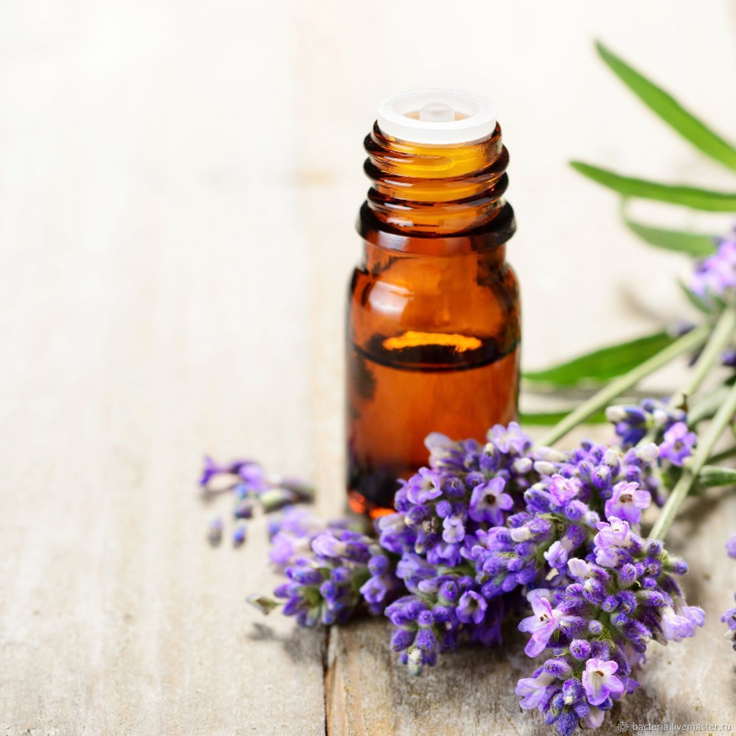 Lavender oil