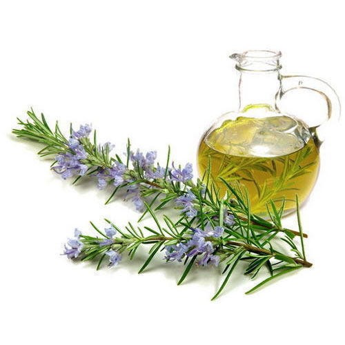 Rosemary oil